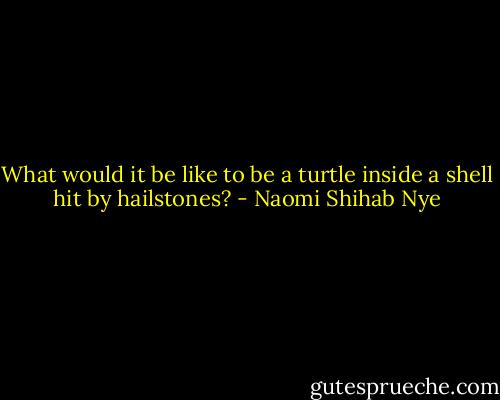 What would it be like to be a turtle inside a shell hit by hailstones? - Naomi Shihab Nye