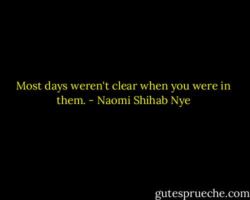 Most days weren't clear when you were in them. - Naomi Shihab Nye