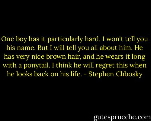 One boy has it particularly hard. I won't tell you his name. But I will tell you all about him. He has very nice brown hair, and he wears it long with a ponytail. I think he will regret this when he looks back on his life. - Stephen Chbosky