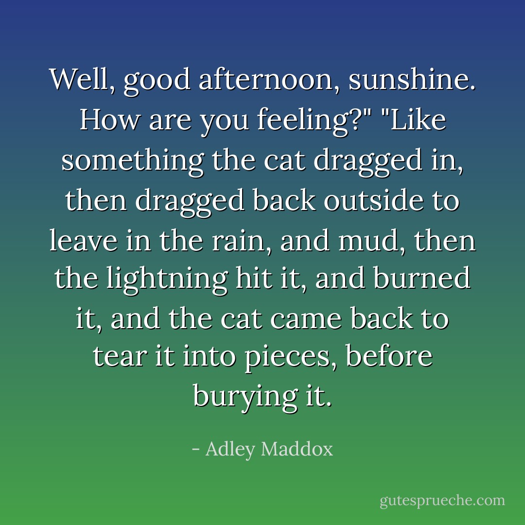 Well, good afternoon, sunshine. How are you feeling?"<br />"Like something the cat dragged in, then dragged back outside to leave in the rain, and mud, then the lightning hit it, and burned it, and the cat came back to tear it into pieces, before burying it. - Adley Maddox