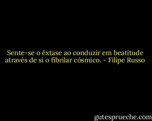Sente-se o êxtase ao conduzir em beatitude através de si o fibrilar cósmico. - Filipe Russo