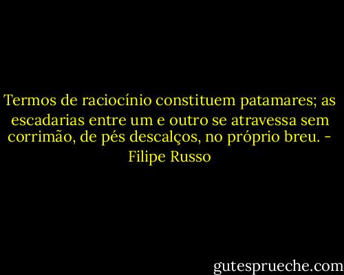 Termos de raciocínio constituem patamares; as escadarias entre um e outro se atravessa sem corrimão, de pés descalços, no próprio breu. - Filipe Russo
