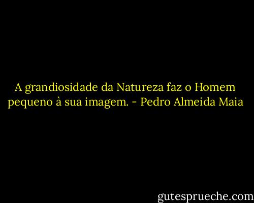 A grandiosidade da Natureza faz o Homem pequeno à sua imagem. - Pedro Almeida Maia