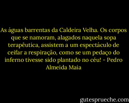 As águas barrentas da Caldeira Velha. Os corpos que se namoram, alagados naquela sopa terapêutica, assistem a um espectáculo de ceifar a respiração, como se um pedaço do inferno tivesse sido plantado no céu! - Pedro Almeida Maia