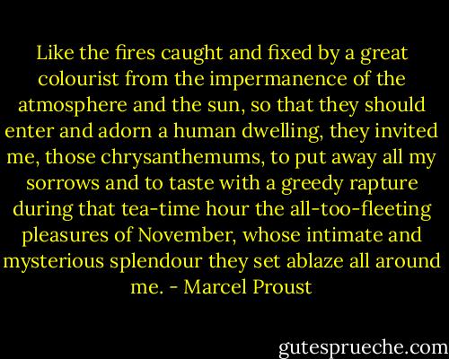 Like the fires caught and fixed by a great colourist from the impermanence of the atmosphere and the sun, so that they should enter and adorn a human dwelling, they invited me, those chrysanthemums, to put away all my sorrows and to taste with a greedy rapture during that tea-time hour the all-too-fleeting pleasures of November, whose intimate and mysterious splendour they set ablaze all around me. - Marcel Proust