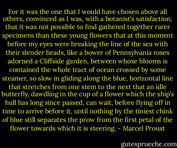 For it was the one that I would have chosen above all others, convinced as I was, with a botanist’s satisfaction, that it was not possible to find gathered together rarer specimens than these young flowers that at this moment before my eyes were breaking the line of the sea with their slender heads, like a bower of Pennsylvania roses adorned a Cliffside garden, between whose blooms is contained the whole tract of ocean crossed by some steamer, so slow in gliding along the blue, horizontal line that stretches from one stem to the next that an idle butterfly, dawdling in the cup of a flower which the ship’s hull has long since passed, can wait, before flying off in time to arrive before it, until nothing by the tiniest chink of blue still separates the prow from the first petal of the flower towards which it is steering. - Marcel Proust