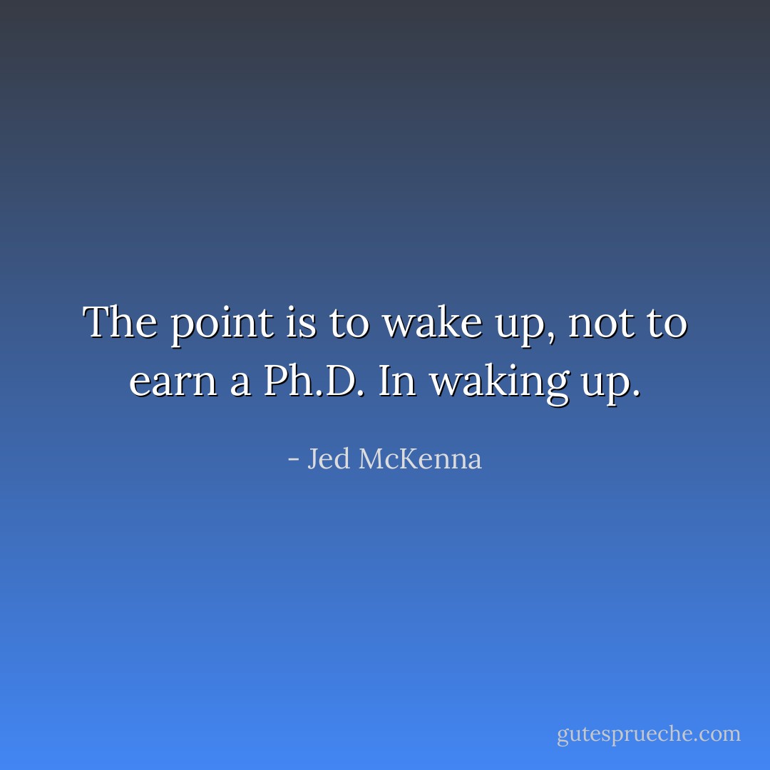 The point is to wake up, not to earn a Ph.D. In waking up. - Jed McKenna