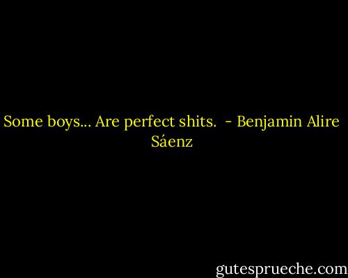 Some boys... Are perfect shits.  - Benjamin Alire Sáenz