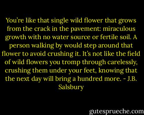 You’re like that single wild flower that grows from the crack in the pavement: miraculous growth with no water source or fertile soil. A person walking by would step around that flower to avoid crushing it. It’s not like the field of wild flowers you tromp through carelessly, crushing them under your feet, knowing that the next day will bring a hundred more. - J.B. Salsbury
