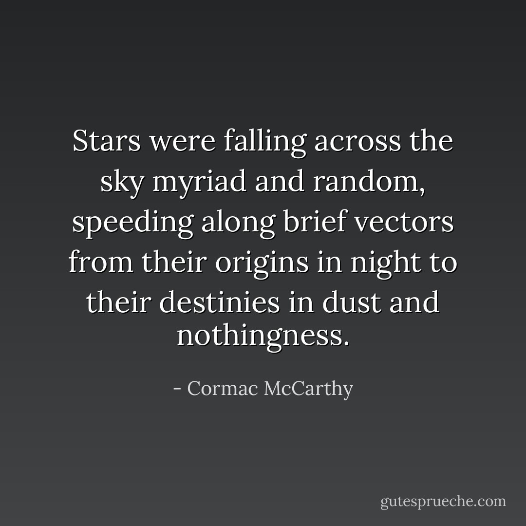 Stars were falling across the sky myriad and random, speeding along brief vectors from their origins in night to their destinies in dust and nothingness. - Cormac McCarthy