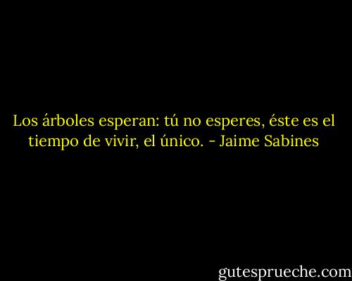 Los árboles esperan: tú no esperes,<br />éste es el tiempo de vivir, el único. - Jaime Sabines