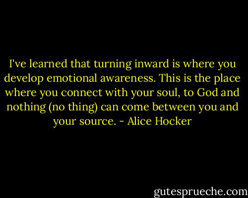 I've learned that turning inward is where you develop emotional awareness. This is the place where you connect with your soul, to God and nothing (no thing) can come between you and your source. - Alice Hocker