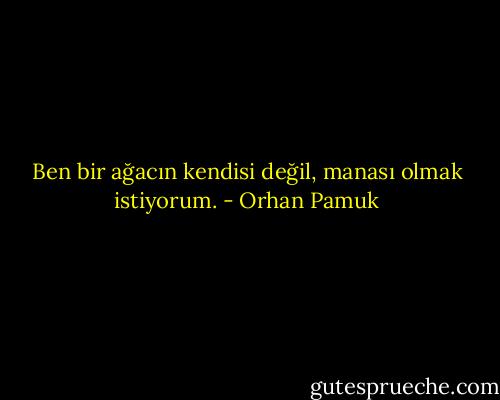 Ben bir ağacın kendisi değil, manası olmak istiyorum. - Orhan Pamuk