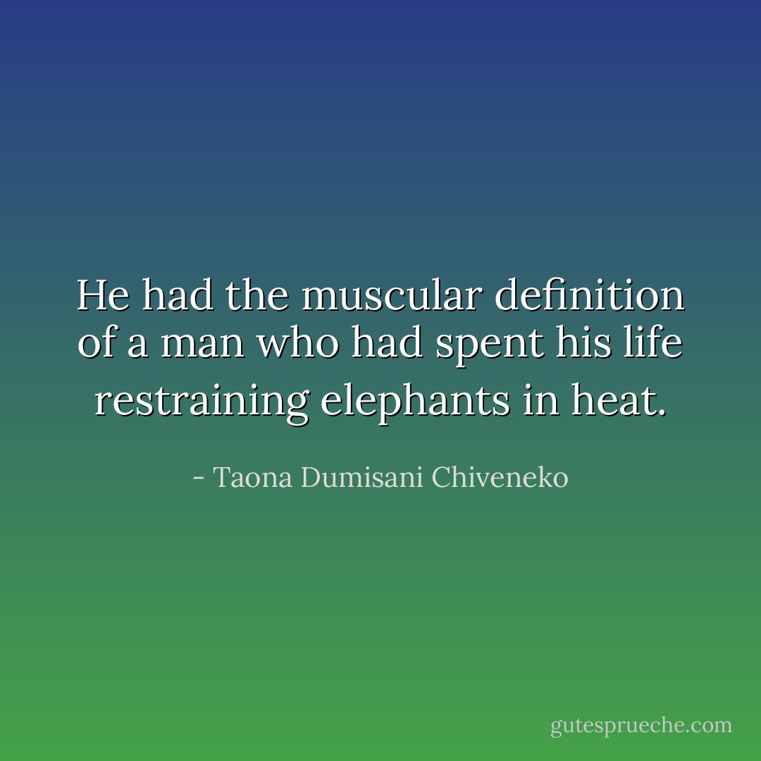 He had the muscular definition of a man who had spent his life restraining elephants in heat. - Taona Dumisani Chiveneko