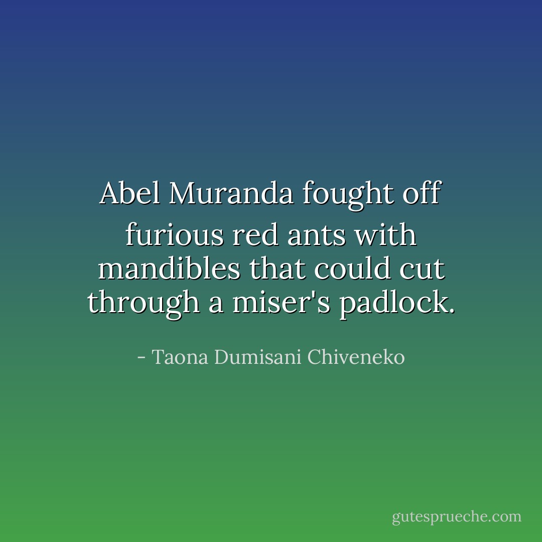 Abel Muranda fought off furious red ants with mandibles that could cut through a miser's padlock. - Taona Dumisani Chiveneko