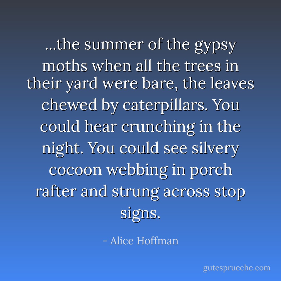 ...the summer of the gypsy moths when all the trees in their yard were bare, the leaves chewed by caterpillars. You could hear crunching in the night. You could see silvery cocoon webbing in porch rafter and strung across stop signs. - Alice Hoffman