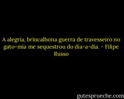 A alegria, brincalhona guerra de travesseiro no gato-mia me sequestrou do dia-a-dia. - Filipe Russo