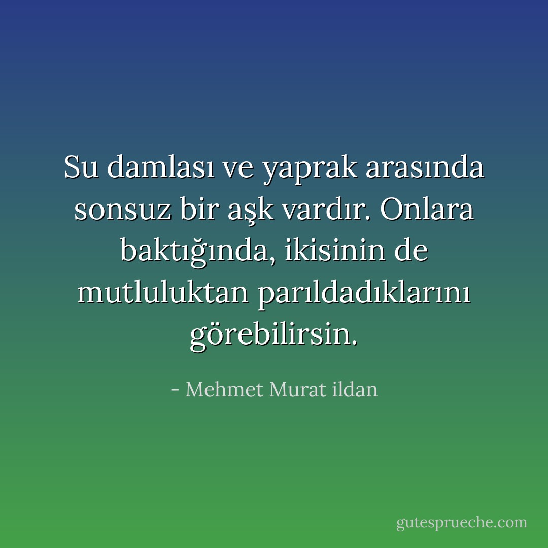Su damlası ve yaprak arasında sonsuz bir aşk vardır. Onlara baktığında, ikisinin de mutluluktan parıldadıklarını görebilirsin. - Mehmet Murat ildan