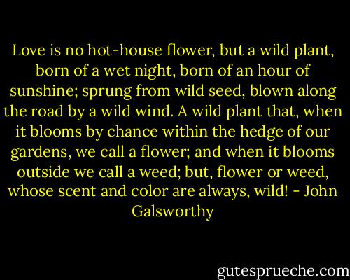 Love is no hot-house flower, but a wild plant, born of a wet night, born of an hour of sunshine; sprung from wild seed, blown along the road by a wild wind. A wild plant that, when it blooms by chance within the hedge of our gardens, we call a flower; and when it blooms outside we call a weed; but, flower or weed, whose scent and color are always, wild! - John Galsworthy