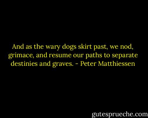 And as the wary dogs skirt past, we nod, grimace, and resume our paths to separate destinies and graves. - Peter Matthiessen