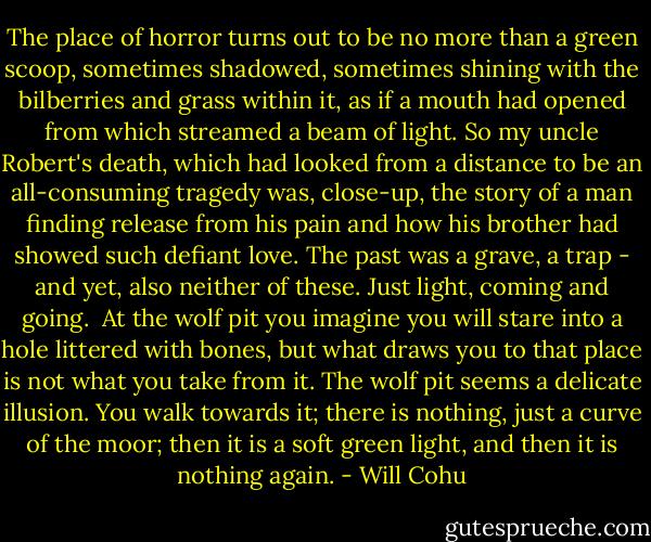 The place of horror turns out to be no more than a green scoop, sometimes shadowed, sometimes shining with the bilberries and grass within it, as if a mouth had opened from which streamed a beam of light. So my uncle Robert's death, which had looked from a distance to be an all-consuming tragedy was, close-up, the story of a man finding release from his pain and how his brother had showed such defiant love. The past was a grave, a trap - and yet, also neither of these. Just light, coming and going.<br /><br />At the wolf pit you imagine you will stare into a hole littered with bones, but what draws you to that place is not what you take from it. The wolf pit seems a delicate illusion. You walk towards it; there is nothing, just a curve of the moor; then it is a soft green light, and then it is nothing again. - Will Cohu