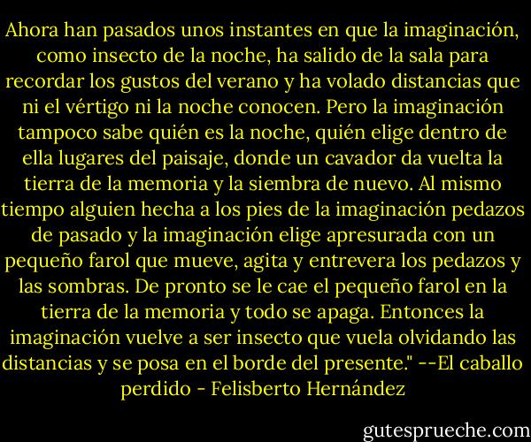 Ahora han pasados unos instantes en que la imaginación, como insecto de la noche, ha salido de la sala para recordar los gustos del verano y ha volado distancias que ni el vértigo ni la noche conocen. Pero la imaginación tampoco sabe quién es la noche, quién elige dentro de ella lugares del paisaje, donde un cavador da vuelta la tierra de la memoria y la siembra de nuevo. Al mismo tiempo alguien hecha a los pies de la imaginación pedazos de pasado y la imaginación elige apresurada con un pequeño farol que mueve, agita y entrevera los pedazos y las sombras. De pronto se le cae el pequeño farol en la tierra de la memoria y todo se apaga. Entonces la imaginación vuelve a ser insecto que vuela olvidando las distancias y se posa en el borde del presente." --El caballo perdido - Felisberto Hernández