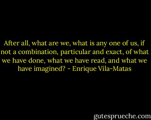 After all, what are we, what is any one of us, if not a combination, particular and exact, of what we have done, what we have read, and what we have imagined? - Enrique Vila-Matas