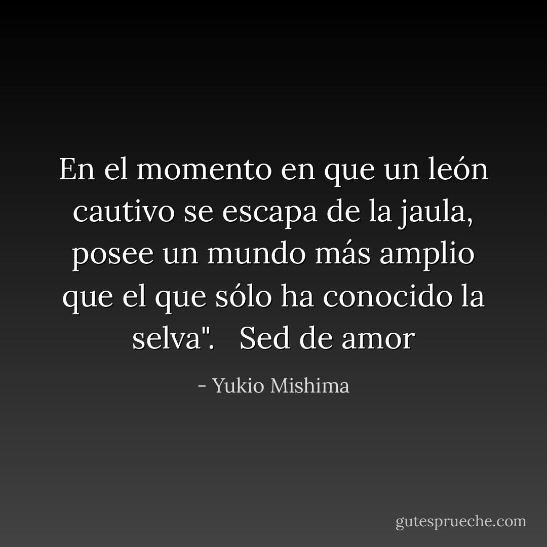 En el momento en que un león cautivo se escapa de la jaula, posee un mundo más amplio que el que sólo ha conocido la selva". <br /><br />Sed de amor - Yukio Mishima