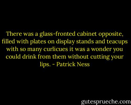 There was a glass-fronted cabinet opposite, filled with plates on display stands and teacups with so many curlicues it was a wonder you could drink from them without cutting your lips. - Patrick Ness