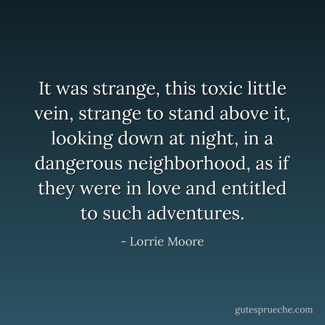 It was strange, this toxic little vein, strange to stand above it, looking down at night, in a dangerous neighborhood, as if they were in love and entitled to such adventures. - Lorrie Moore