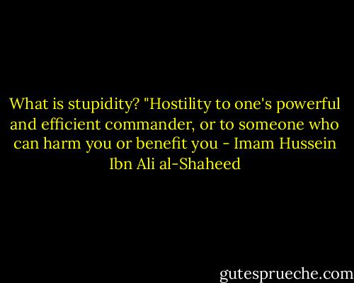 What is stupidity? "Hostility to one's powerful and efficient commander, or to someone who can harm you or benefit you - Imam Hussein Ibn Ali al-Shaheed