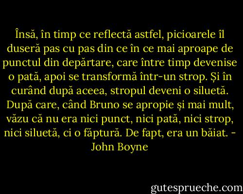 Însă, în timp ce reflectă astfel, picioarele îl duseră pas cu pas din ce în ce mai aproape de punctul din depărtare, care între timp devenise o pată, apoi se transformă într-un strop. Și în curând după aceea, stropul deveni o siluetă. După care, când Bruno se apropie și mai mult, văzu că nu era nici punct, nici pată, nici strop, nici siluetă, ci o făptură. De fapt, era un băiat. - John Boyne
