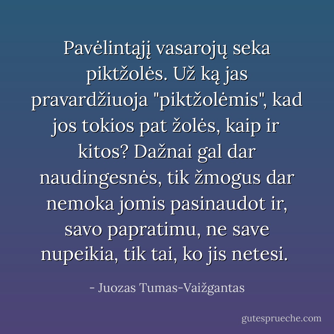 Pavėlintąjį vasarojų seka piktžolės. Už ką jas pravardžiuoja "piktžolėmis", kad jos tokios pat žolės, kaip ir kitos? Dažnai gal dar naudingesnės, tik žmogus dar nemoka jomis pasinaudot ir, savo papratimu, ne save nupeikia, tik tai, ko jis netesi.  - Juozas Tumas-Vaižgantas