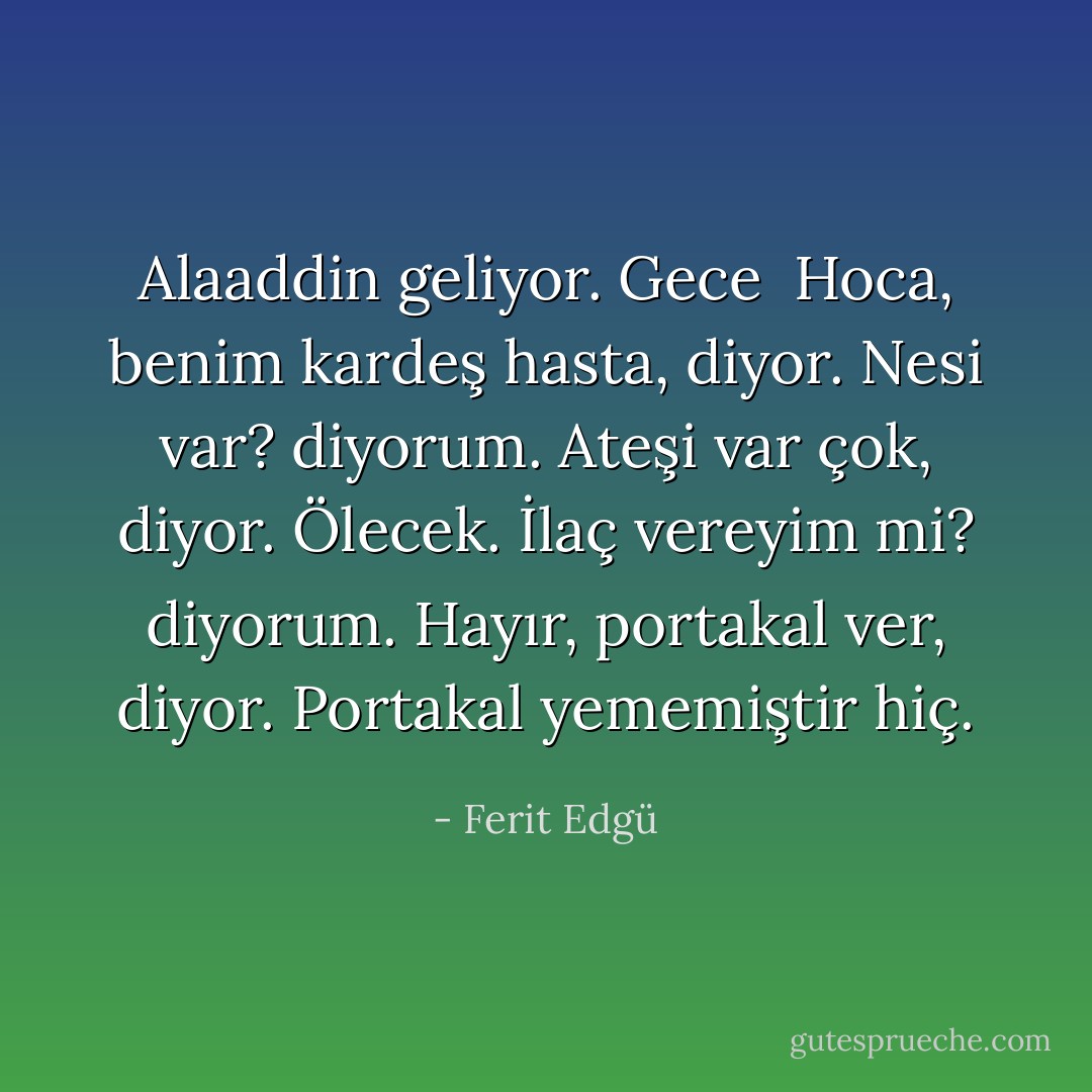 Alaaddin geliyor. Gece<br /><br />Hoca, benim kardeş hasta, diyor.<br />Nesi var? diyorum.<br />Ateşi var çok, diyor. Ölecek.<br />İlaç vereyim mi? diyorum.<br />Hayır, portakal ver, diyor.<br />Portakal yememiştir hiç. - Ferit Edgü