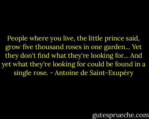 People where you live, the little prince said, grow five thousand roses in one garden... Yet they don't find what they're looking for... And yet what they're looking for could be found in a single rose. - Antoine de Saint-Exupéry