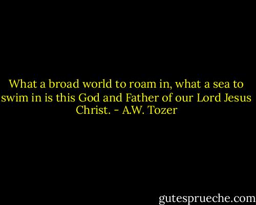 What a broad world to roam in, what a sea to swim in is this God and Father of our Lord Jesus Christ. - A.W. Tozer