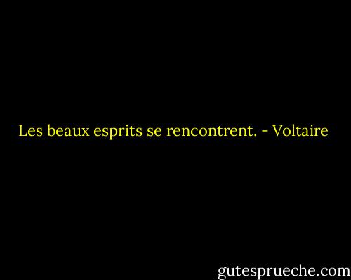Les beaux esprits se rencontrent. - Voltaire