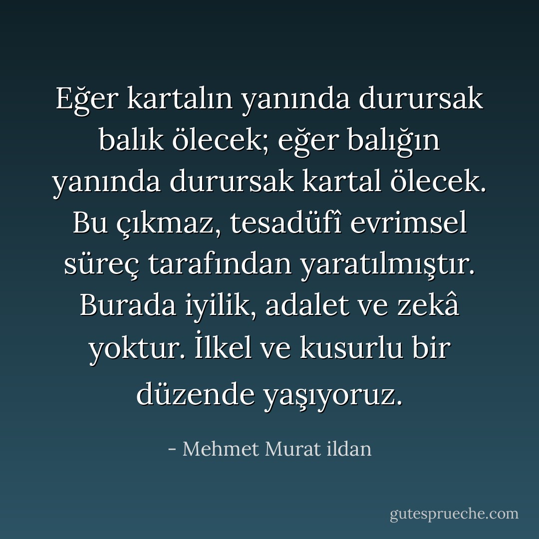 Eğer kartalın yanında durursak balık ölecek; eğer balığın yanında durursak kartal ölecek. Bu çıkmaz, tesadüfî evrimsel süreç tarafından yaratılmıştır. Burada iyilik, adalet ve zekâ yoktur. İlkel ve kusurlu bir düzende yaşıyoruz. - Mehmet Murat ildan