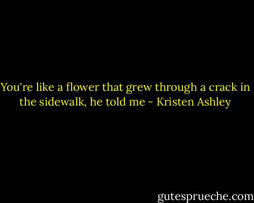 You're like a flower that grew through a crack in the sidewalk, he told me - Kristen Ashley