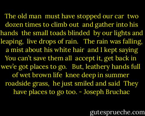 The old man<br /> must have stopped our car<br /> two dozen times to climb out<br /> and gather into his hands<br /> the small toads blinded<br /> by our lights and leaping,<br /> live drops of rain.<br /><br /> The rain was falling,<br /> a mist about his white hair<br /> and I kept saying<br /> You can’t save them all<br /> accept it, get back in<br /> wev’e got places to go.<br /><br /> But, leathery hands full<br /> of wet brown life<br /> knee deep in summer<br /> roadside grass,<br /> he just smiled and said<br /> They have places to go too. - Joseph Bruchac
