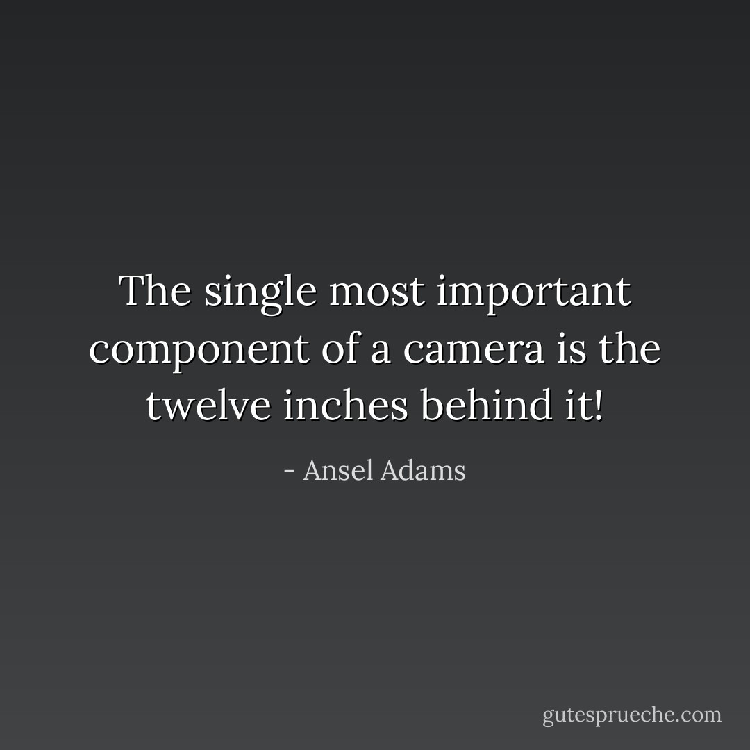 The single most important component of a camera is the twelve inches behind it! - Ansel Adams