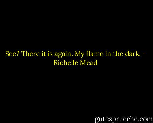 See? There it is again. My flame in the dark. - Richelle Mead