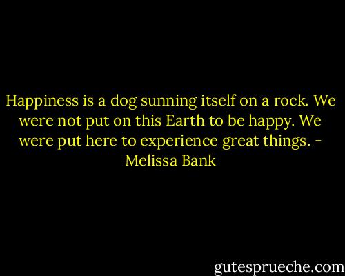 Happiness is a dog sunning itself on a rock. We were not put on this Earth to be happy. We were put here to experience great things. - Melissa Bank