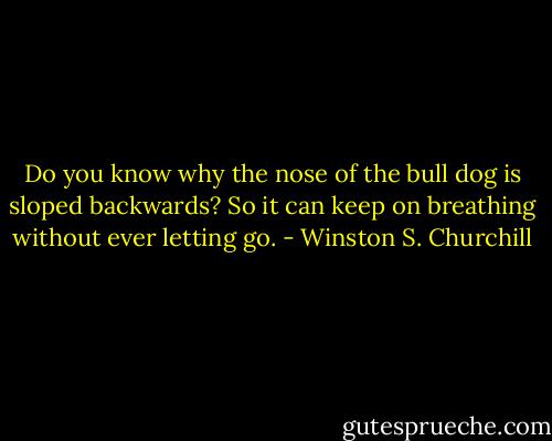 Do you know why the nose of the bull dog is sloped backwards? So it can keep on breathing without ever letting go. - Winston S. Churchill