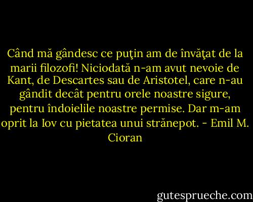 Când mă gândesc ce puţin am de învăţat de la marii filozofi! Niciodată n-am avut nevoie de Kant, de Descartes sau de Aristotel, care n-au gândit decât pentru orele noastre sigure, pentru îndoielile noastre permise. Dar m-am oprit la Iov cu pietatea unui strănepot. - Emil M. Cioran
