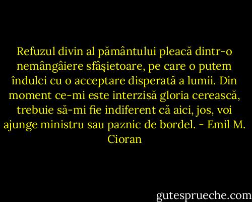 Refuzul divin al pământului pleacă dintr-o nemângâiere sfâşietoare, pe care o putem îndulci cu o acceptare disperată a lumii. Din moment ce-mi este interzisă gloria cerească, trebuie să-mi fie indiferent că aici, jos, voi ajunge ministru sau paznic de bordel. - Emil M. Cioran