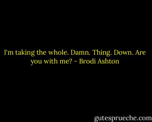 I'm taking the whole. Damn. Thing. Down. Are you with me? - Brodi Ashton