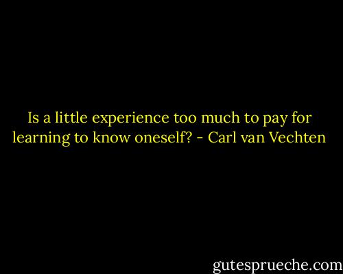 Is a little experience too much to pay for learning to know oneself? - Carl van Vechten