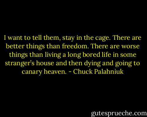 I want to tell them, stay in the cage. There are bet­ter things than free­dom. There are worse things than liv­ing a long bored life in some stranger’s house and then dy­ing and go­ing to ca­nary heav­en. - Chuck Palahniuk