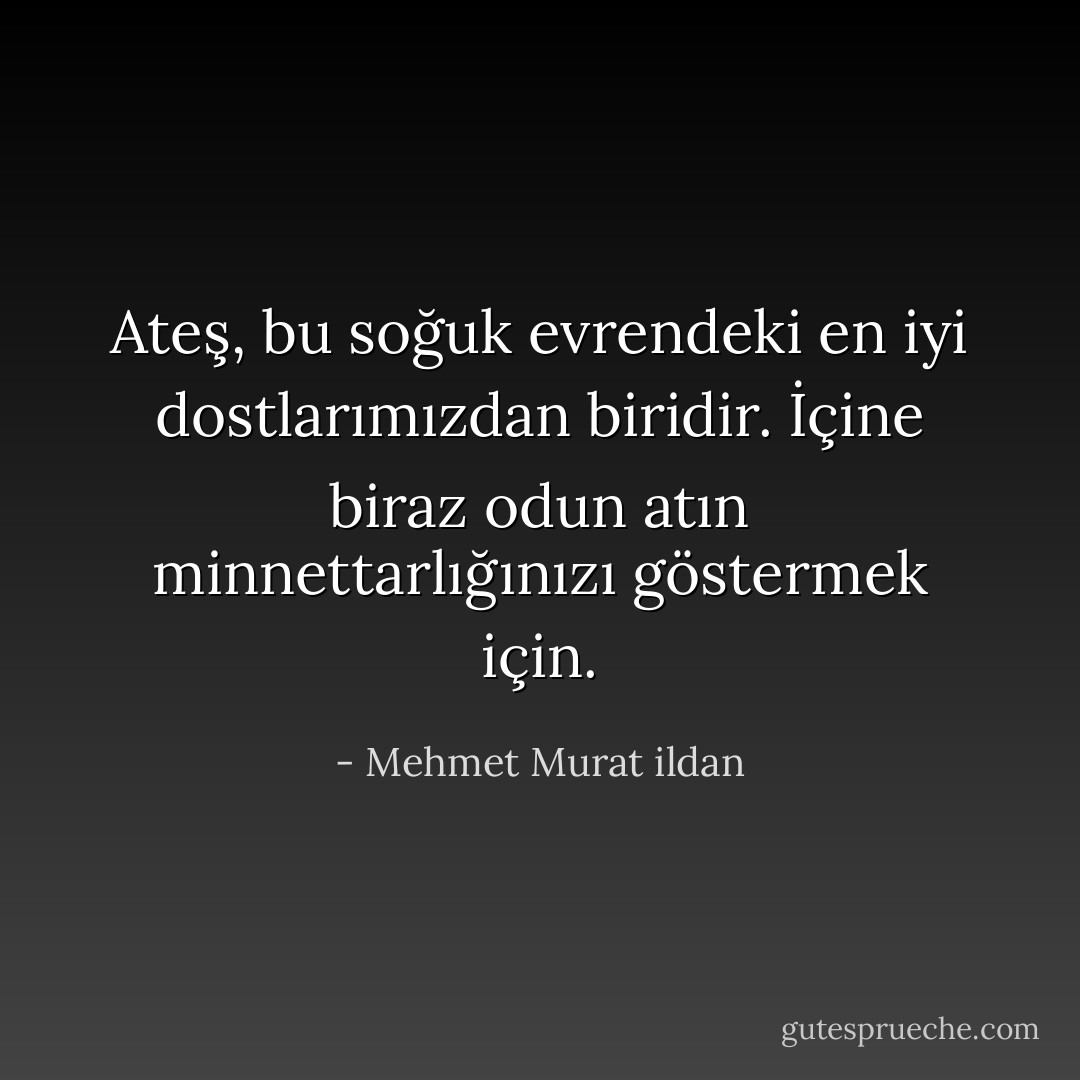 Ateş, bu soğuk evrendeki en iyi dostlarımızdan biridir. İçine biraz odun atın minnettarlığınızı göstermek için. - Mehmet Murat ildan